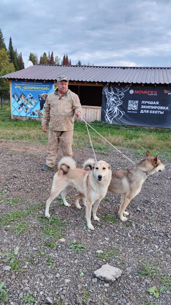 WhatsApp Image 2023-10-16 at 08.45.26.jpeg